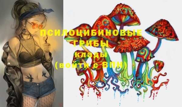 индика Каменск-Шахтинский