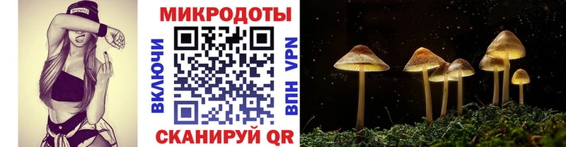 купить  сайты  Новоаннинский  Галлюциногенные грибы мицелий 